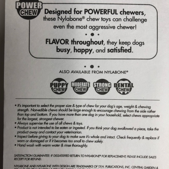 2 Pack Nylabone long lasting chew bones Winter Green, Turkey & Berries Flavor - Picture 8 of 9